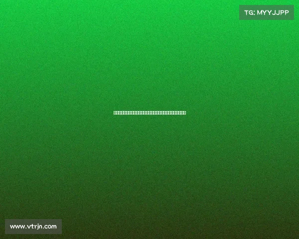 德甲联赛最新动态解析：聚焦赛季表现、球队战术与球员转会热点